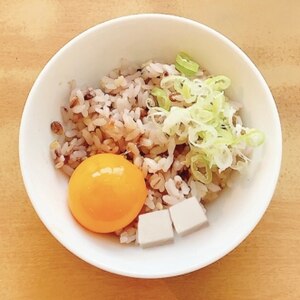 冷奴と一緒に食べちゃう卵かけご飯